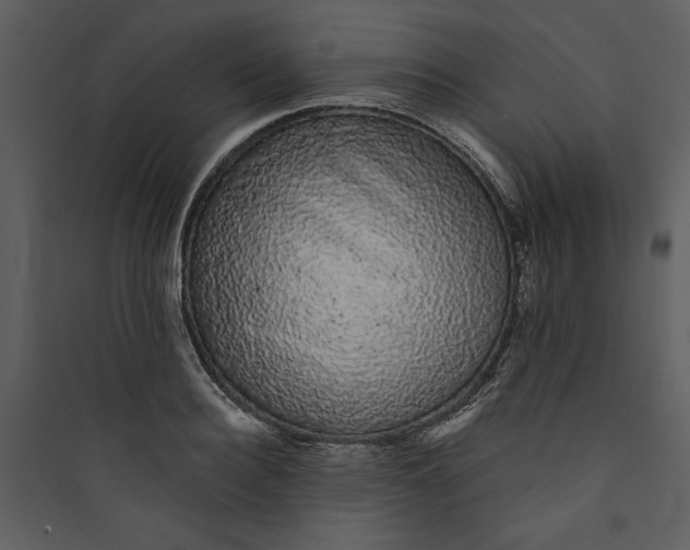 X0000089760940200707121400