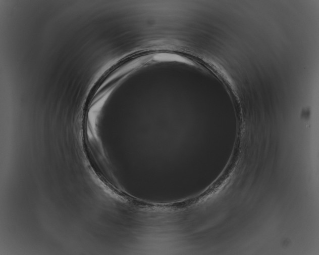 X0000089760941200707121400