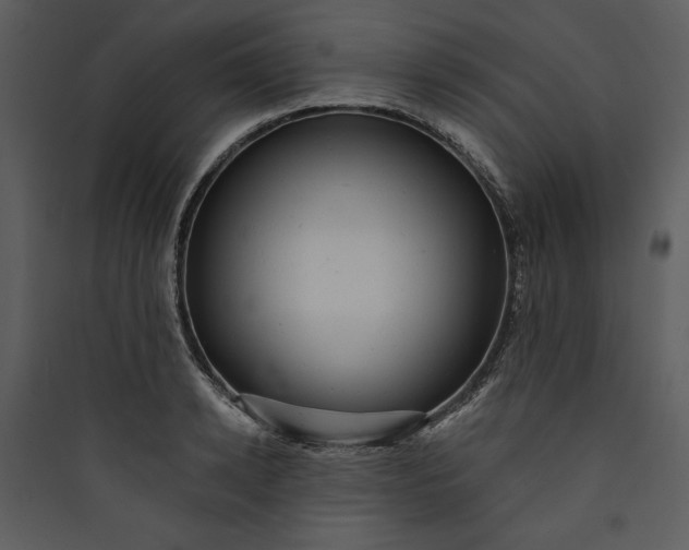 X0000089760942200707121400