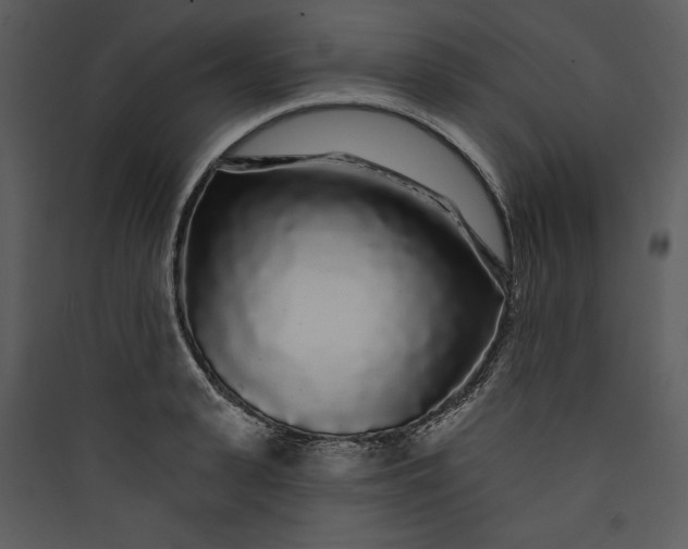 X0000089760943200707121400