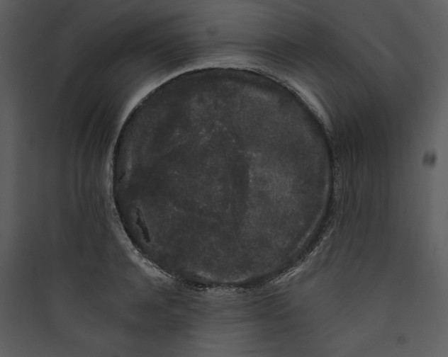 X0000089760944200707121400