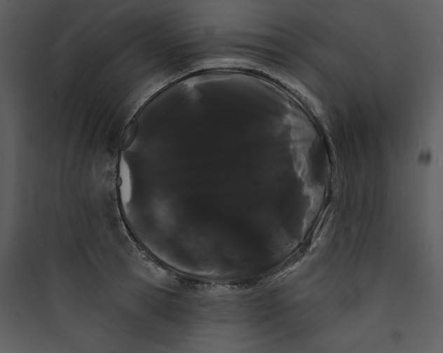 X0000089760945200707121400