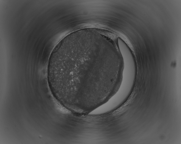 X0000089760946200707121400