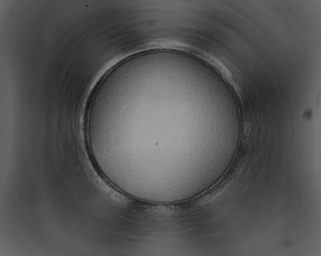 X0000089760947200707121400