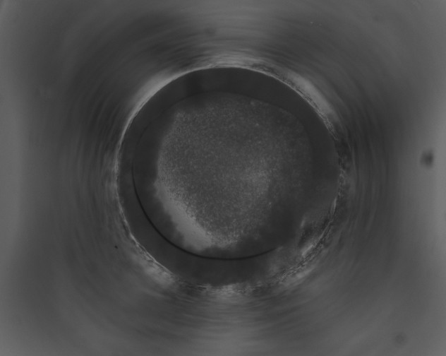 X0000089760948200707121400