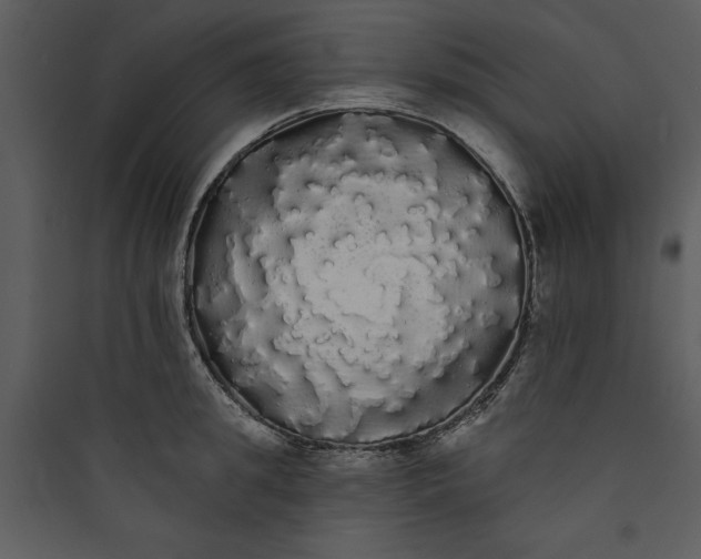 X0000089760949200707121400