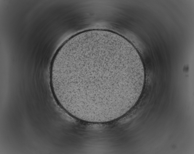 X0000089760950200707121400