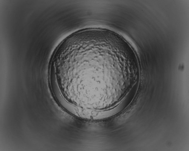 X0000089760951200707121400