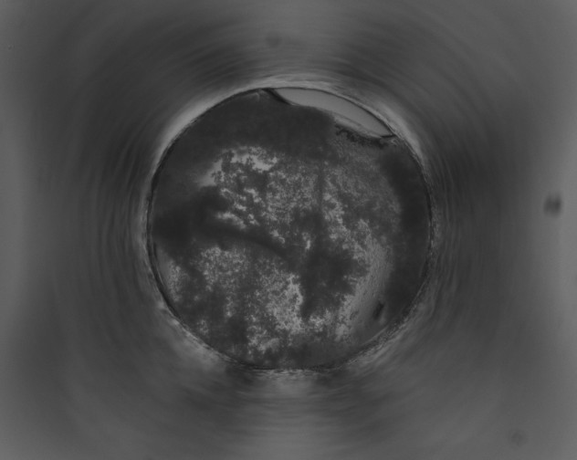 X0000089760952200707121400