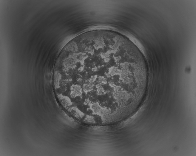 X0000089760953200707121401