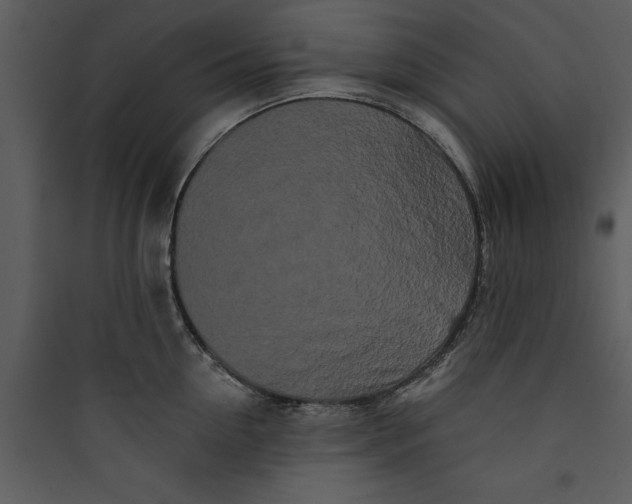 X0000089760954200707121401