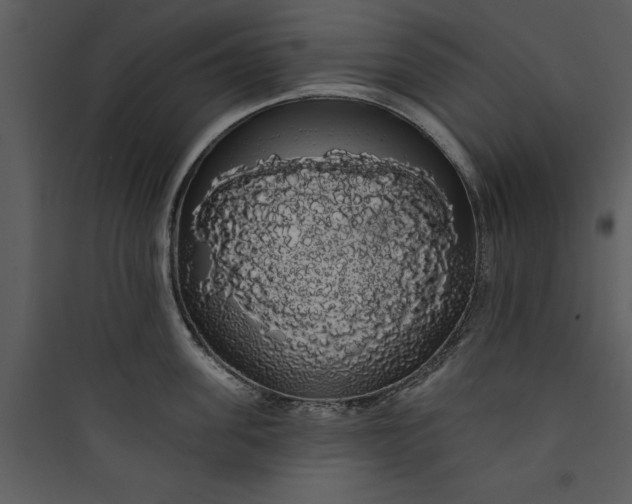 X0000089760955200707121401