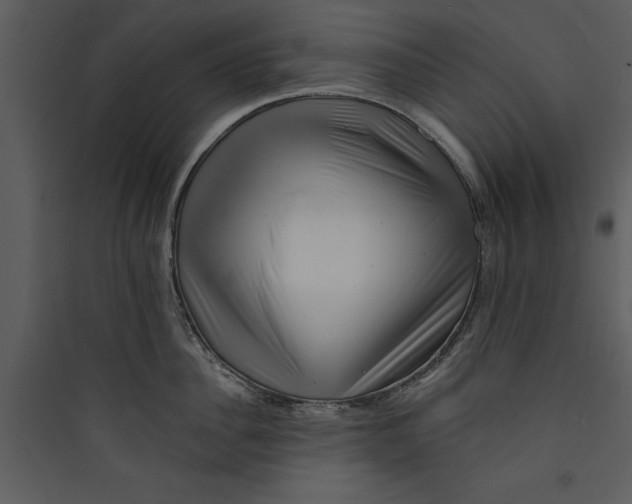 X0000089760956200707121401