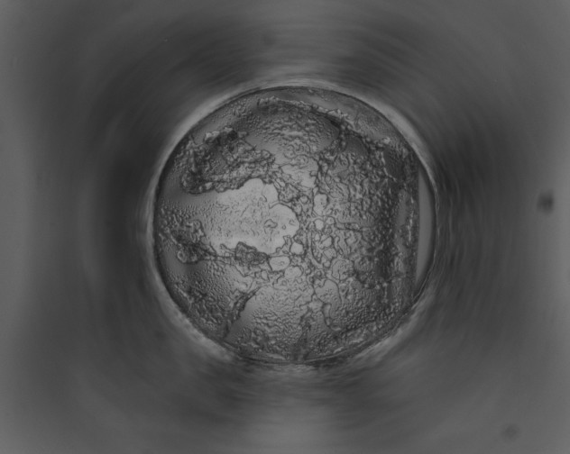 X0000089760957200707121401