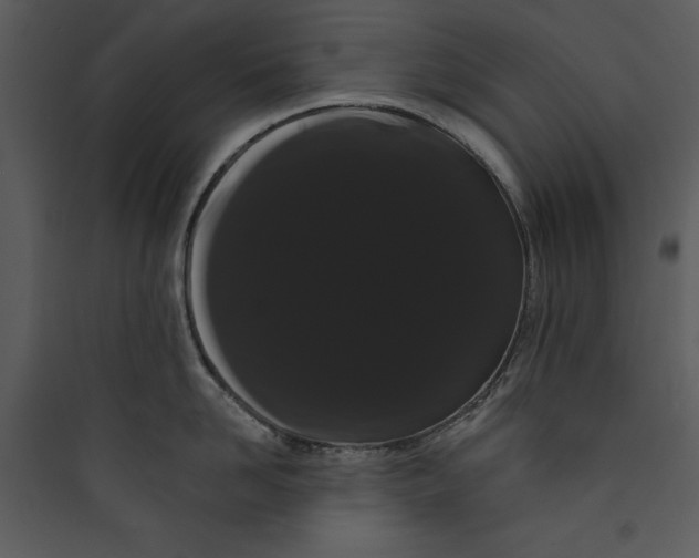 X0000089760958200707121401