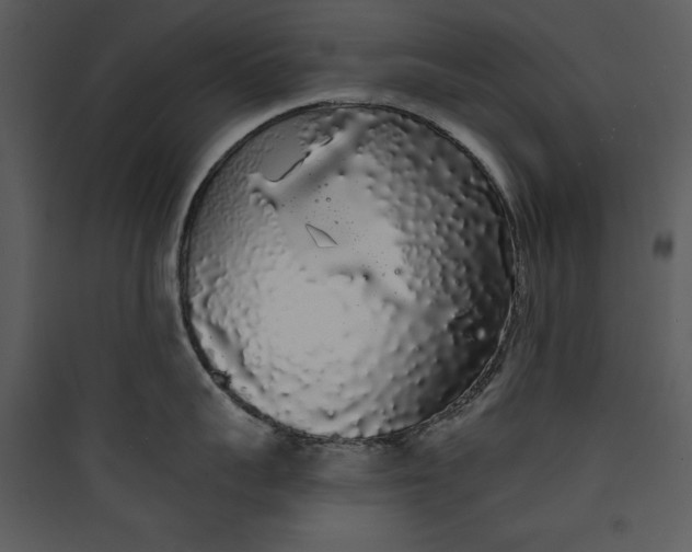 X0000089760959200707121401