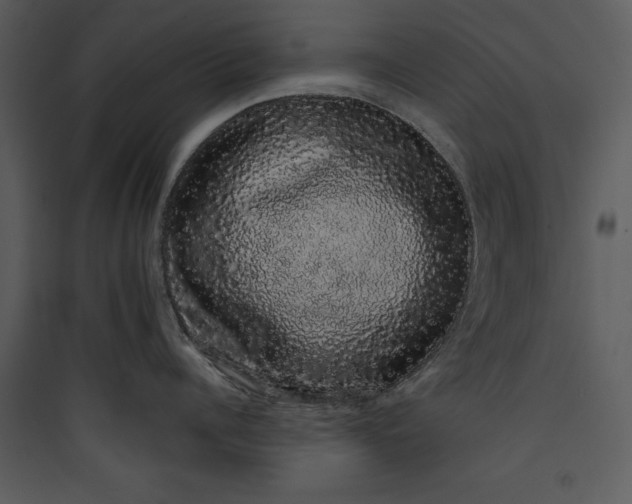 X0000089760960200707121401