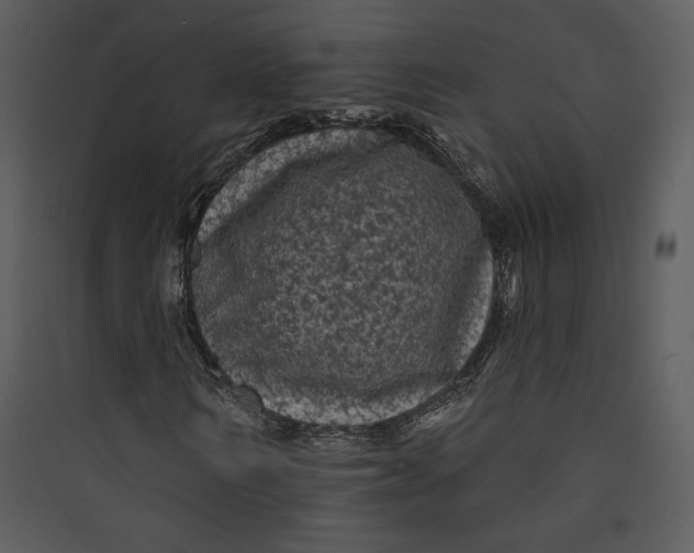 X0000089760962200707121400