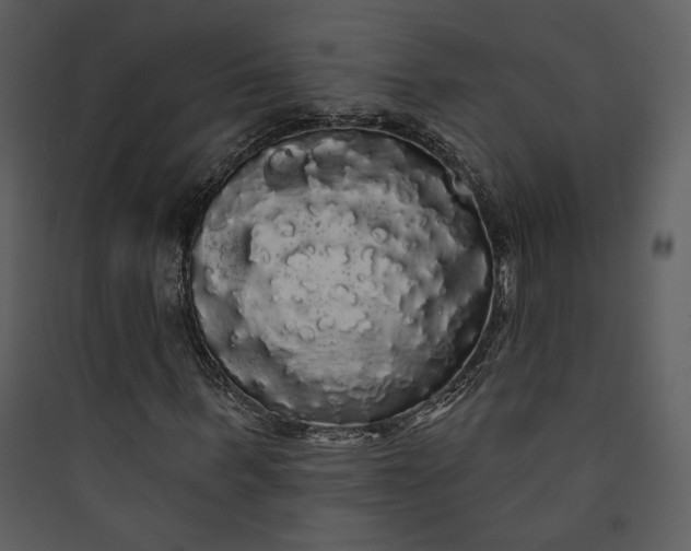 X0000089760963200707121400