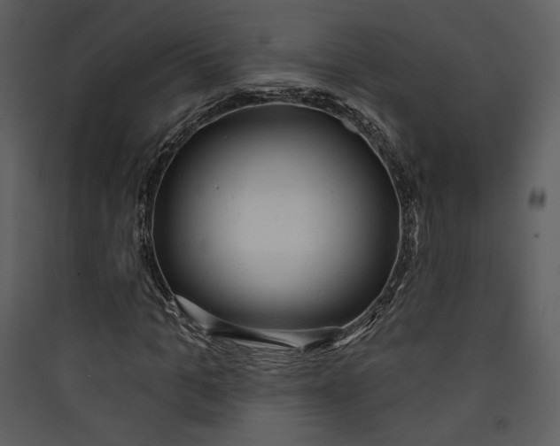 X0000089760965200707121400