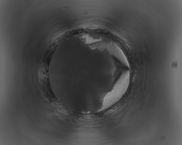 X0000089760966200707121400