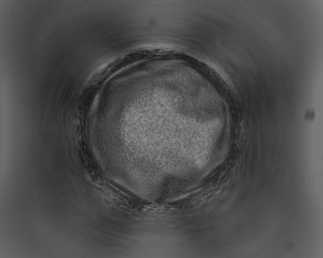 X0000089760967200707121400