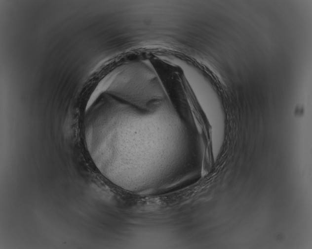 X0000089760968200707121400