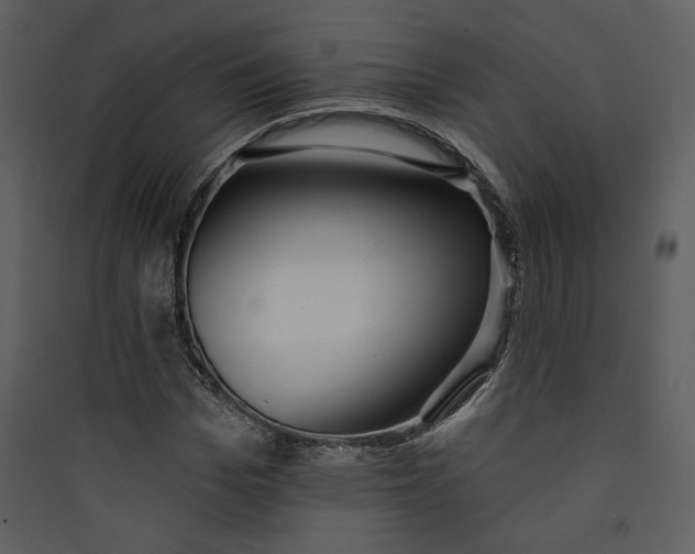 X0000089760969200707121400