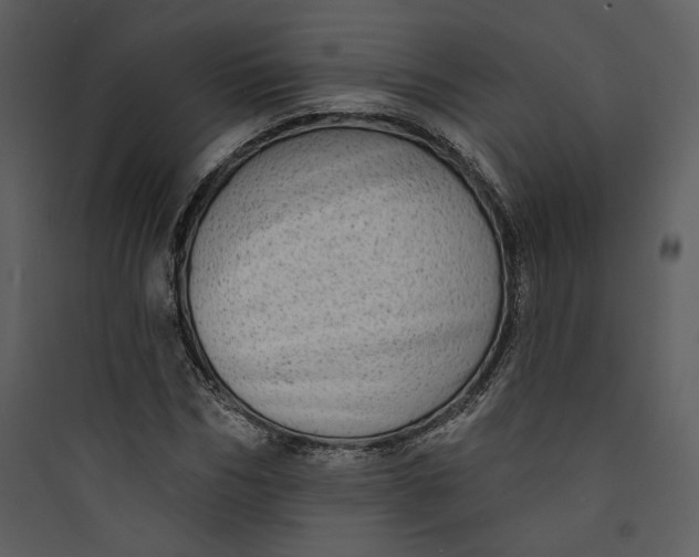 X0000089760970200707121400