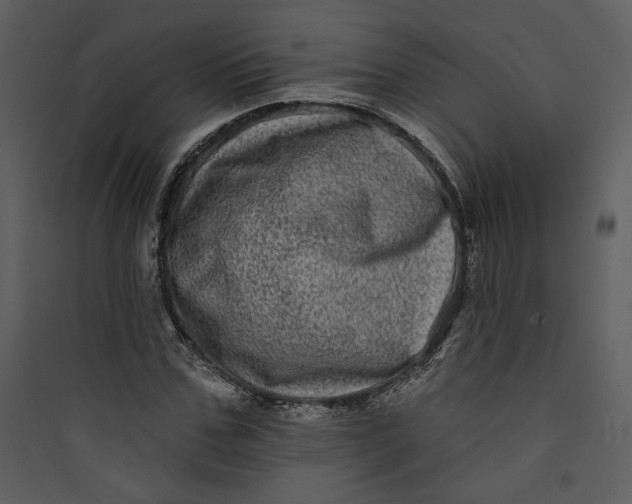 X0000089760971200707121400