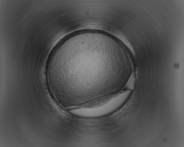 X0000089760972200707121400