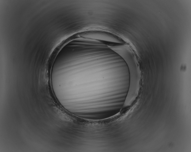 X0000089760973200707121400