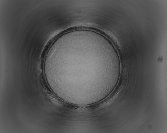 X0000089760974200707121400