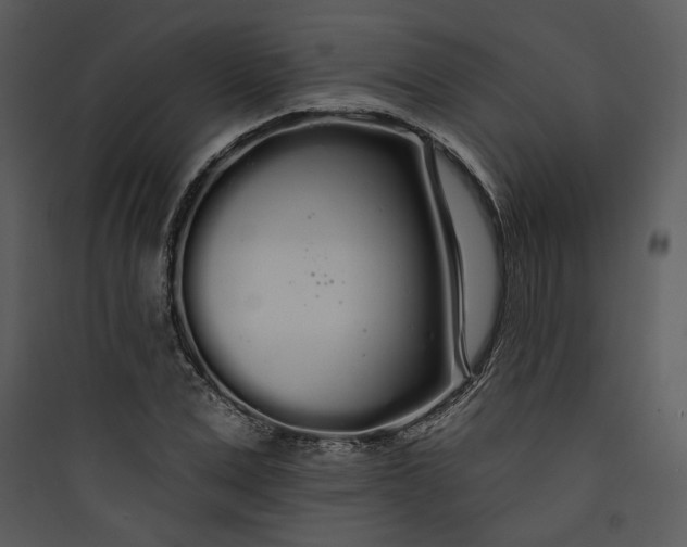 X0000089760975200707121400