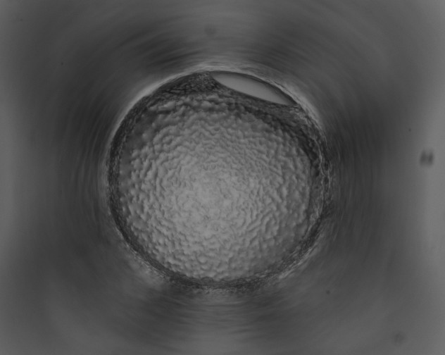 X0000089760976200707121400