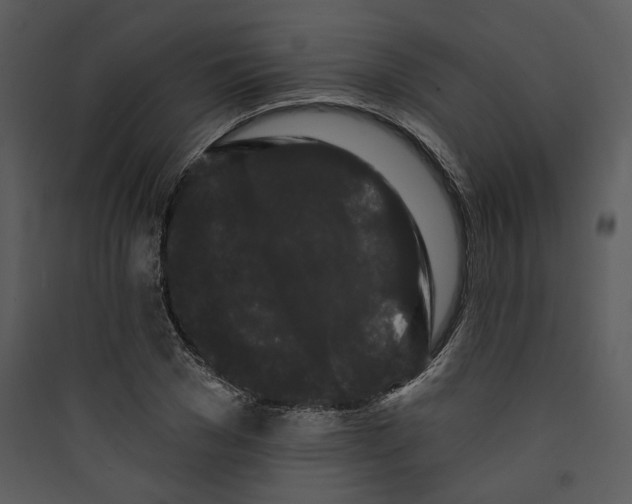 X0000089760977200707121359