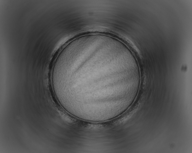 X0000089760978200707121359