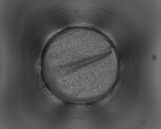 X0000089760979200707121359