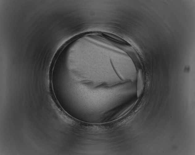 X0000089760980200707121359