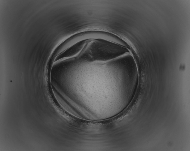 X0000089760981200707121359