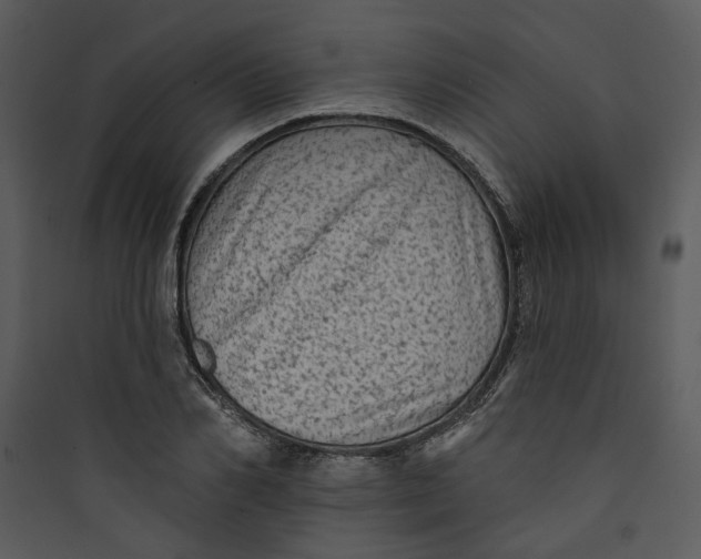 X0000089760982200707121359