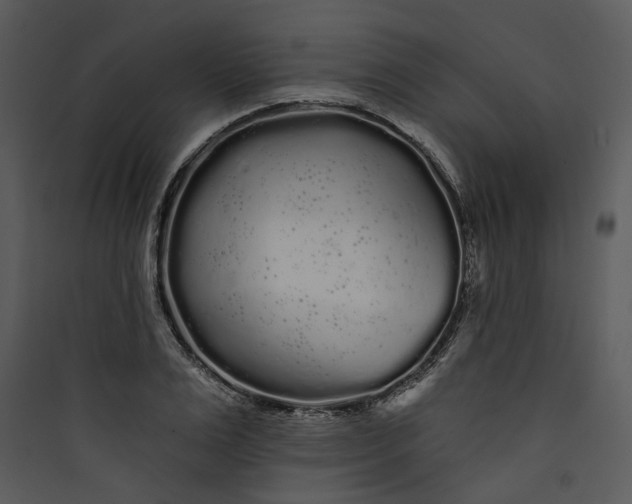 X0000089760983200707121359