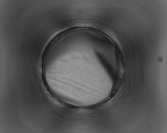 X0000089760984200707121359