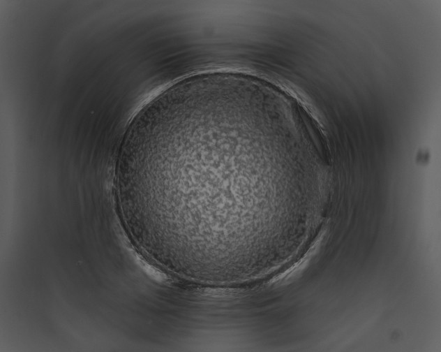 X0000089760985200707121359