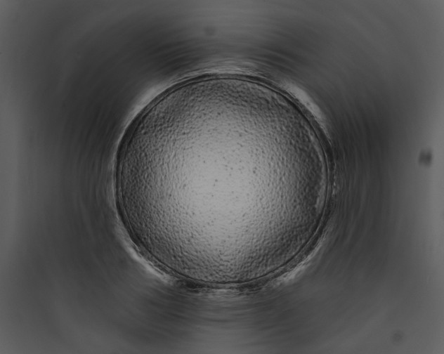 X0000089760986200707121359