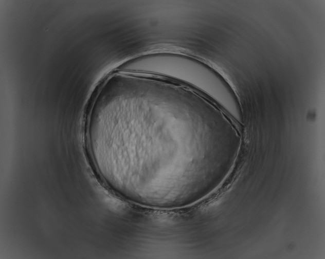 X0000089760987200707121359