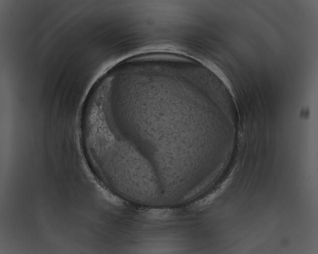 X0000089760989200707121359