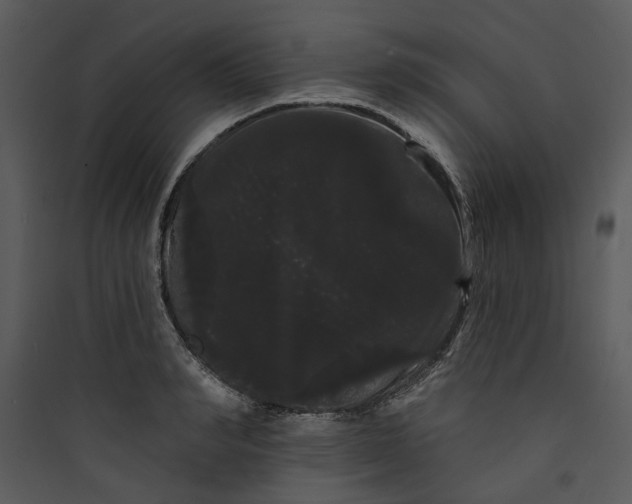 X0000089760990200707121359