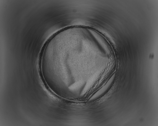 X0000089760991200707121359