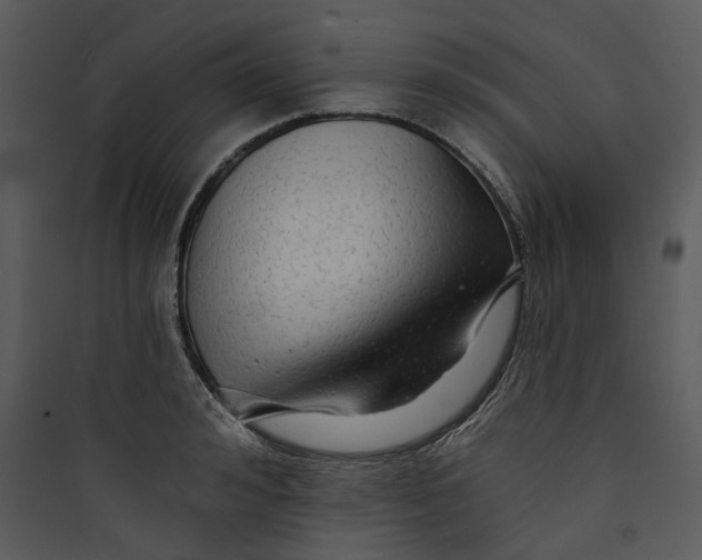 X0000089760992200707121359